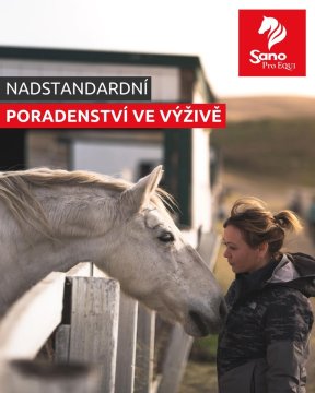 Nadstandardní poradenství ve výživě