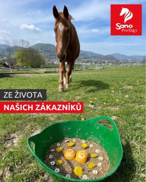 Ze života našich zákazníků