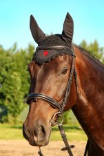 Sano ProEQUI Čabraka COB