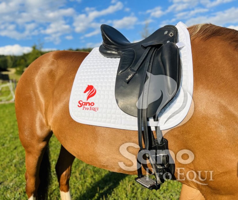 Sano ProEQUI Podsedlová dečka drezurní bílá