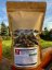 VZOREK Sano ProEQUI KokiNO GRAIN 1kg