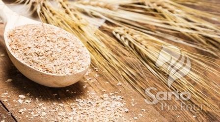 Otruby pšeničné 25kg Otruby pšeničné 25kg