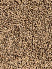 Sano ProEQUI Powerful 25kg