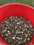 Sano ProEQUI MASH NO GRAIN 20 kg