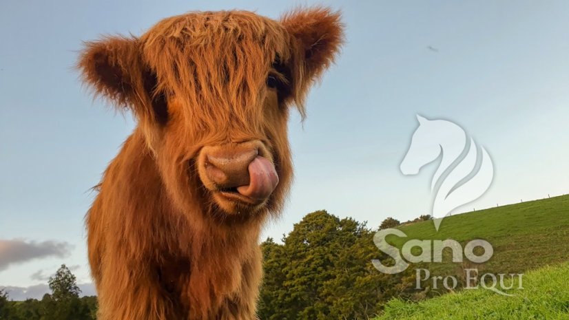 Čot Müsli 18,5% NON GMO 25kg