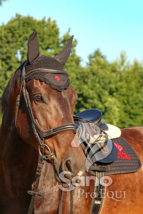 Sano ProEQUI Čabraka FULL