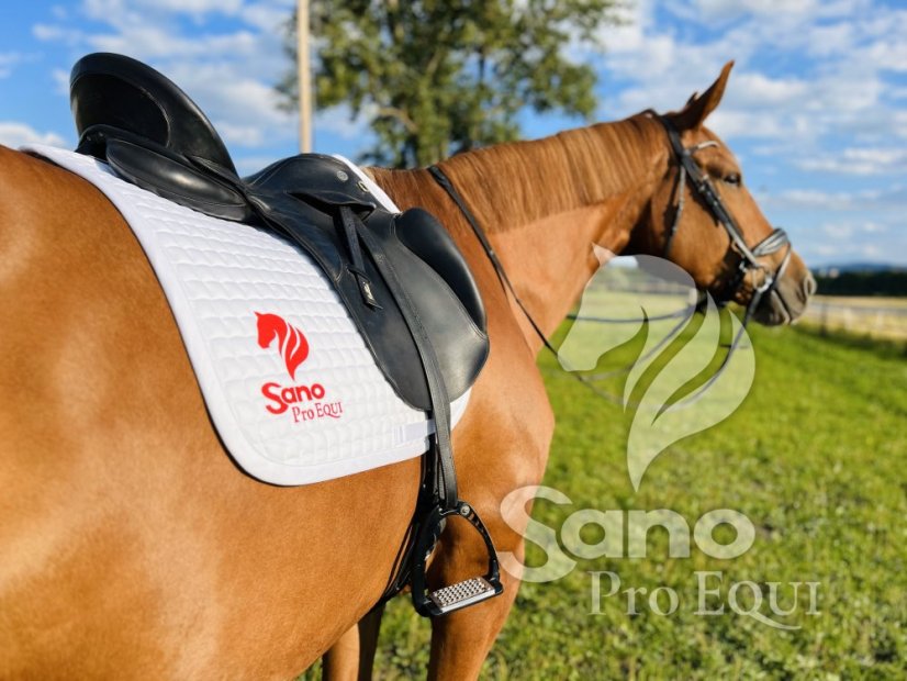 Sano ProEQUI Podsedlová dečka drezurní bílá
