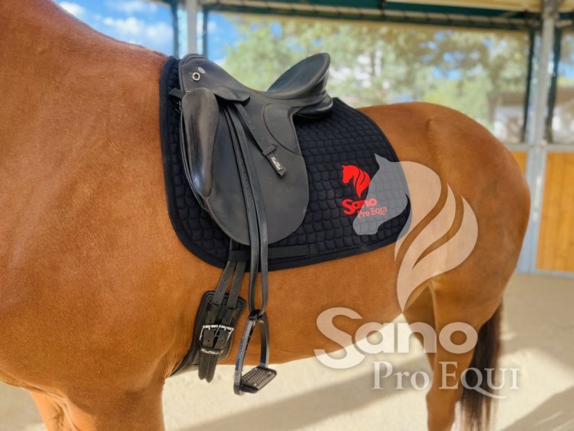 Sano ProEQUI Podsedlová dečka drezurní černá